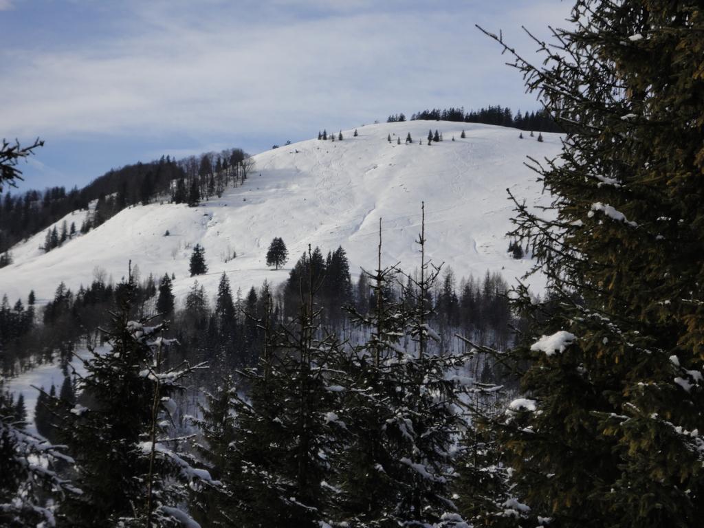 Ferienwohnungen Vordergriess Hochfilzen Zewnętrze zdjęcie