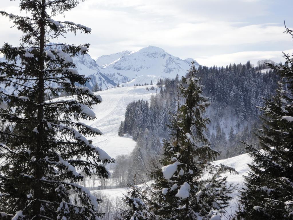 Ferienwohnungen Vordergriess Hochfilzen Zewnętrze zdjęcie